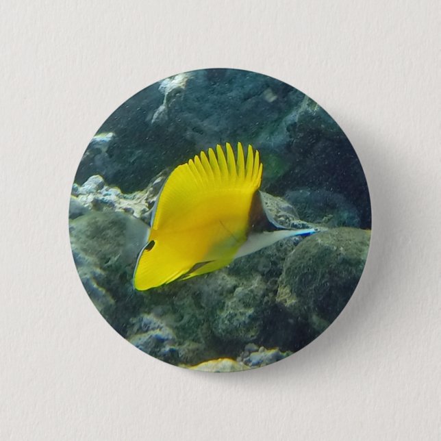 Long Nose Butterfly Fish 6 Cm Round Badge (Front)