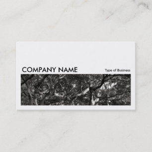 Long Picture 0152 - Japanese Branches 03 Business Card