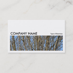 Long Picture 0164 - Sunlit Branches Business Card