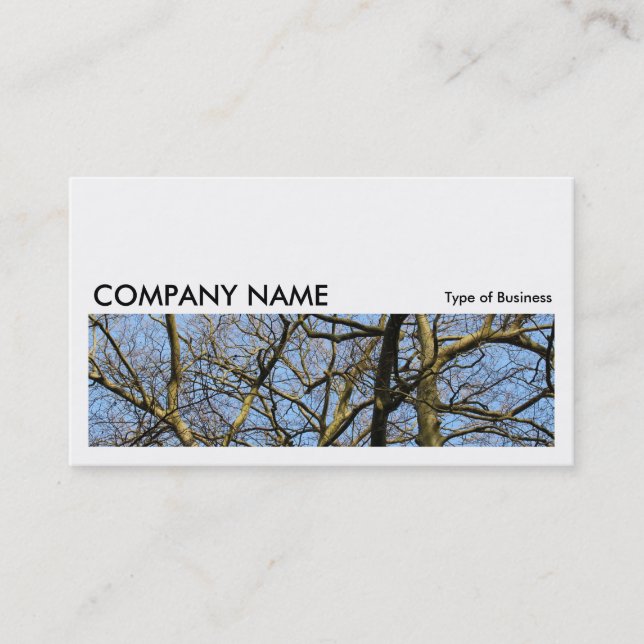 Long Picture 0165 - Branches Business Card (Front)