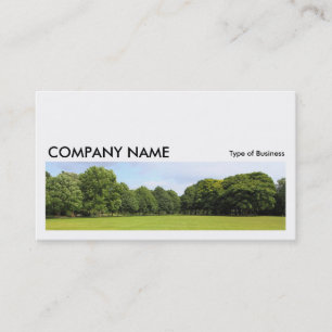 Long Picture 0211 - Playing Field Business Card
