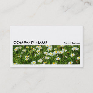 Long Picture 0235 - Daisy Meadow Business Card