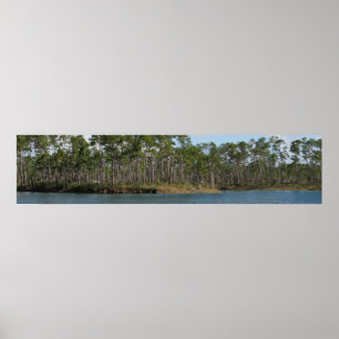 Long Pine Key Poster