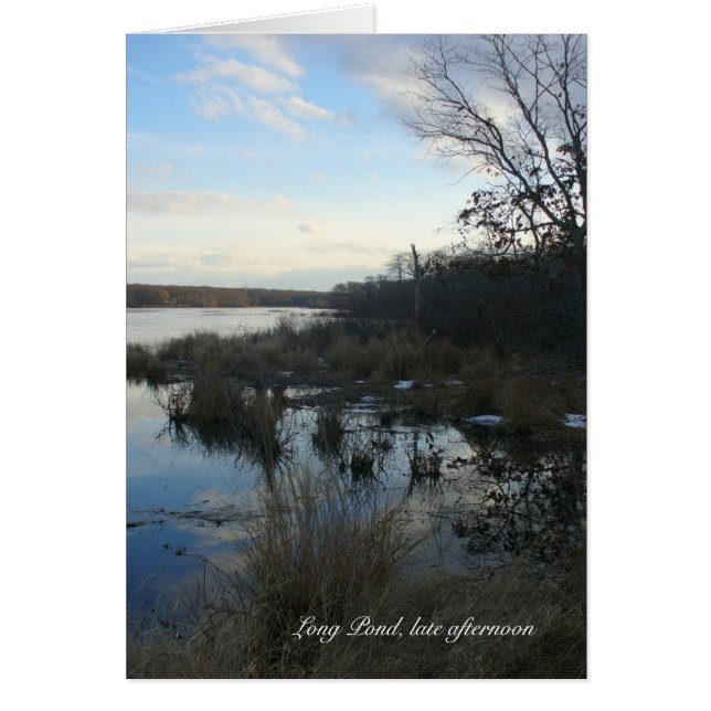 Long Pond late afternoon (Front)