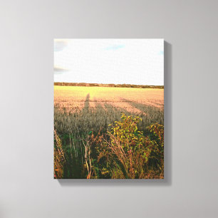 long shadows and autumn colours of rural landscape canvas print