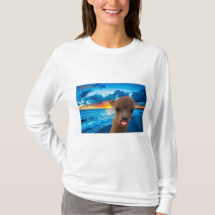 long sleeve basic tee women