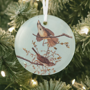 Long Sparrow Audubon Birds with Tiny Spider Glass Tree Decoration