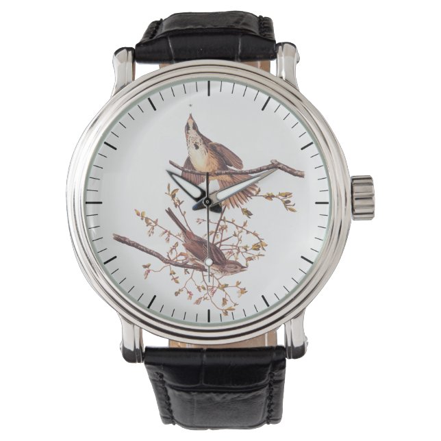 Long Sparrow Audubon Birds with Tiny Spider Watch (Front)