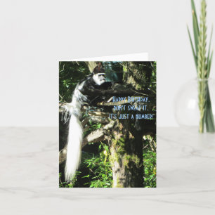 Long Tail Monkey in a Tree Card