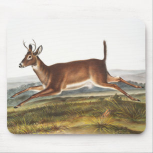 Long-tailed Deer (Cervus leucurus) Illustration Mouse Pad