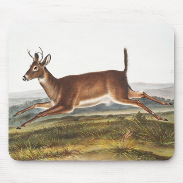 Long-tailed Deer (Cervus leucurus) Illustration Mouse Pad (Front)