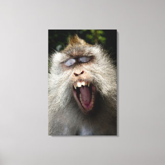 Long-tailed macaques (Macaca fascicularis) Canvas Print