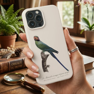 Long-Tailed Parakeet, Psittacula Longicauda iPhone 13 Pro Max Case