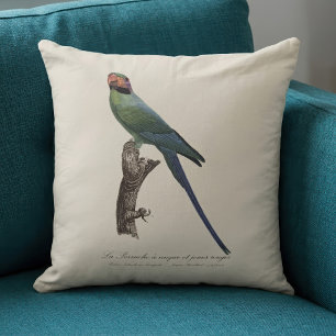 Long-Tailed Parakeet, Psittacula Longicauda Cushion