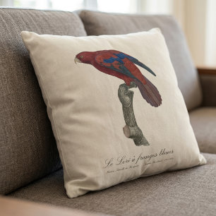 Long-Tailed Red Lory, Trichoglossus borneus Cushion