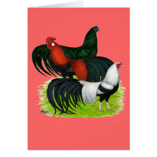 Long-tailed Rooster Trio