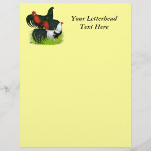 Long-tailed Rooster Trio