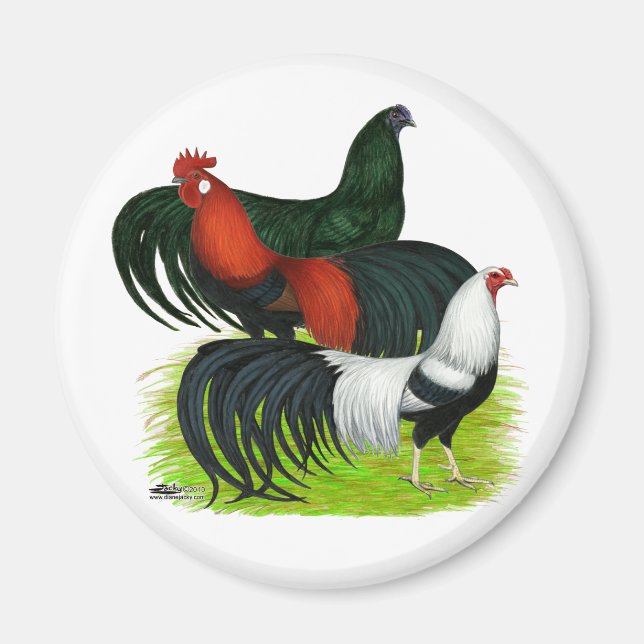 Long-tailed Rooster Trio Magnet (Front)