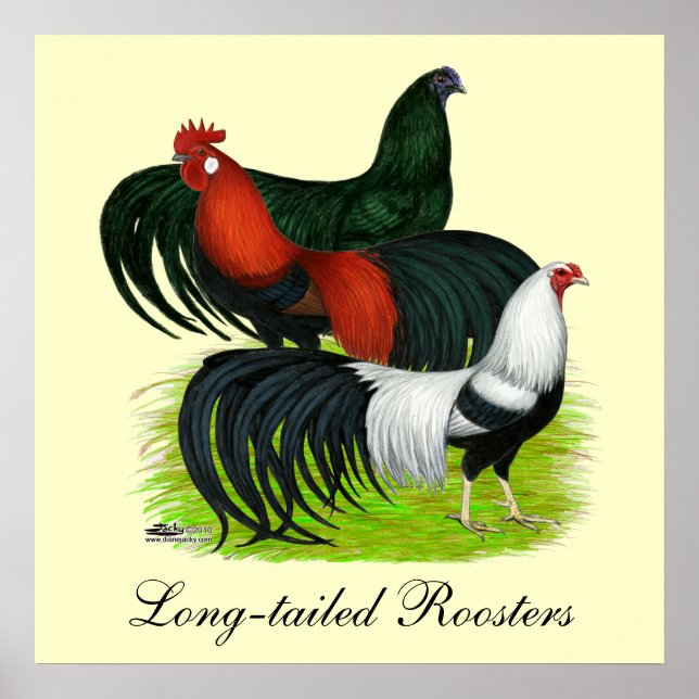 Long-tailed Rooster Trio Poster (Front)