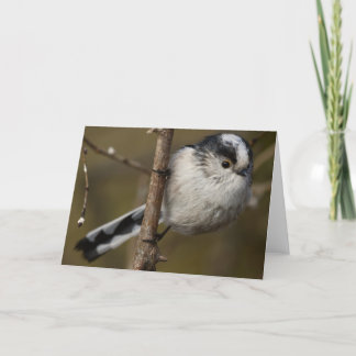 LONG TAILED TIT CARD