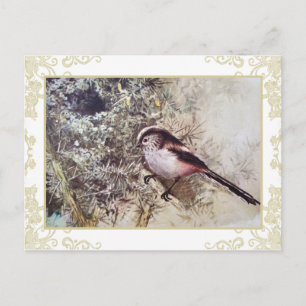 Long-tailed Tit Postcard