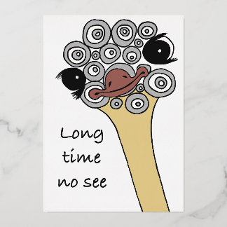 Long time no see – let’s meet again