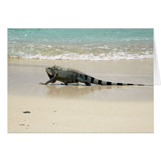 Long Walks on the Beach