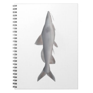 Long-whiskered Catfish Notebook