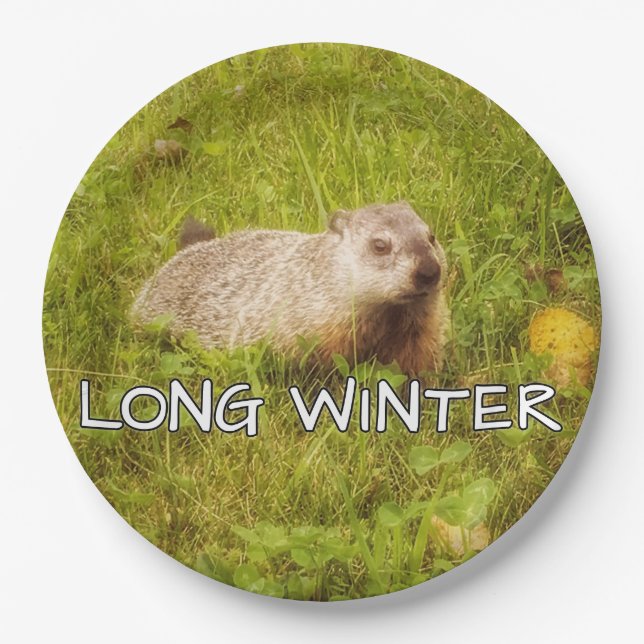 Long winter plates (Front)