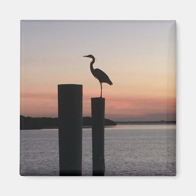 Longboat Key Pelican Magnet (Front)