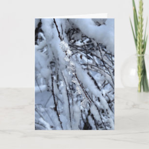 Longest Night of the Year Holiday Card