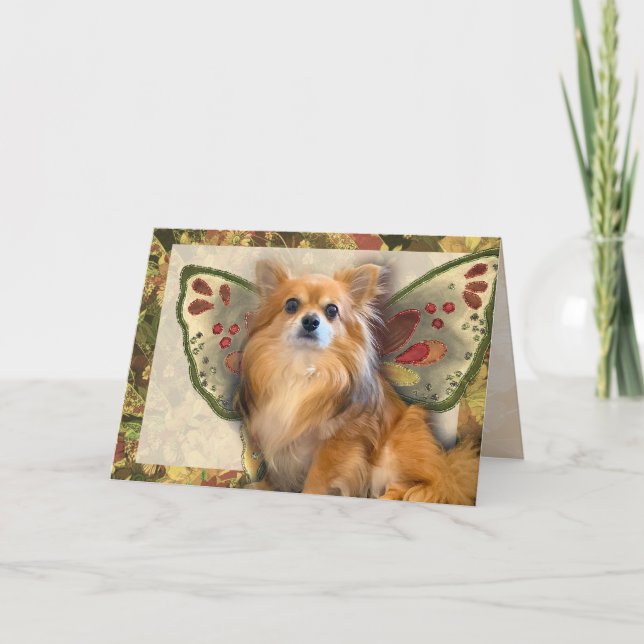 Longhair Chihuahua Fairy Birthday  Card (Front)