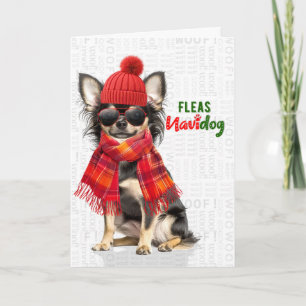 Longhair Chihuahua Funny Fleas Navidog Holiday Card
