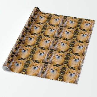 Longhair Chihuahua pom-chi Pomeranian Wrapping Paper