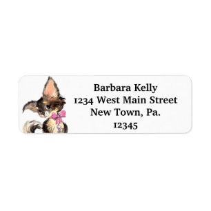 Longhair Chihuahua Return Address