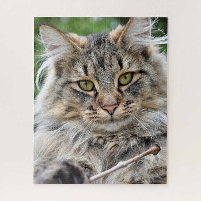 Longhair Tabby Cat Jigsaw Puzzle (Vertical)