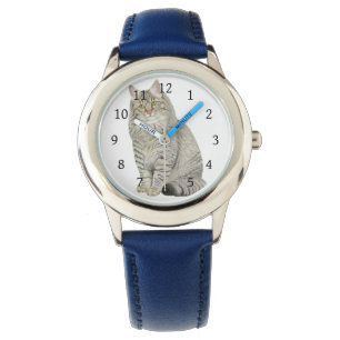 Longhair Tabby Cat Watch