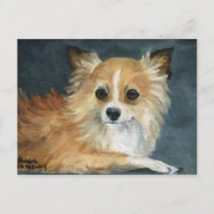 "Longhaired Chihuahua" Dog Art Postcard