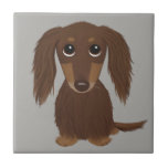 Longhaired Chocolate Brown Dachshund Tile<br><div class="desc">Longhaired Brown Doxie</div>