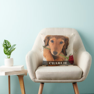 Longhaired Dachshund Doxie Love Red Rose Cushion