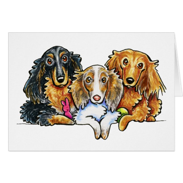 Longhaired Dachshund Trio (Front Horizontal)