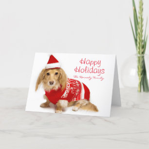 Longhaired dachshund wearing a red Christmas Holiday Card
