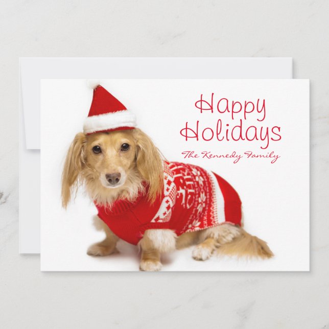Longhaired dachshund wearing a red Christmas Holiday Card (Front)