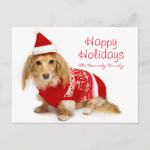 Longhaired dachshund wearing a red Christmas Holiday Postcard