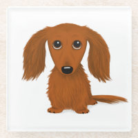 Longhaired Red Dachshund Cute Weiner Dog