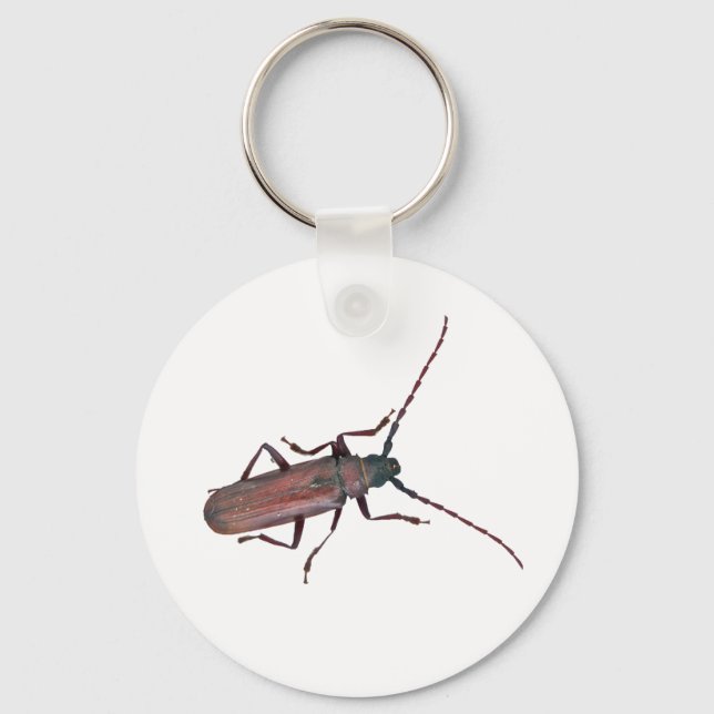 Longhorn Beetle Coordinating Items Key Ring (Front)