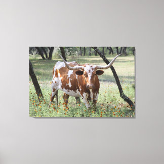 Longhorn Canvas Print