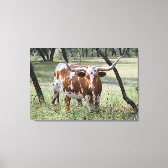Longhorn Canvas Print (Front)
