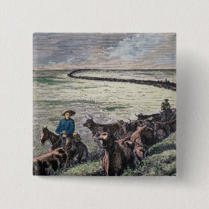 Longhorn cattle drive from Texas to Abilene, Kansa 15 Cm Square Badge