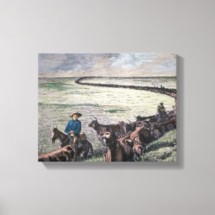 Longhorn cattle drive from Texas to Abilene, Kansa Canvas Print
